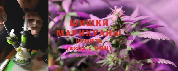 крисы Белокуриха