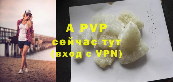крисы Белокуриха