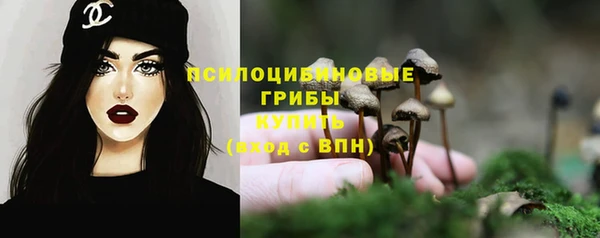 крисы Белокуриха