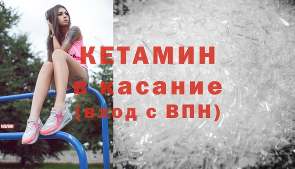 прущие грибы Няндома