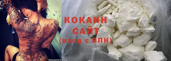крисы Белокуриха